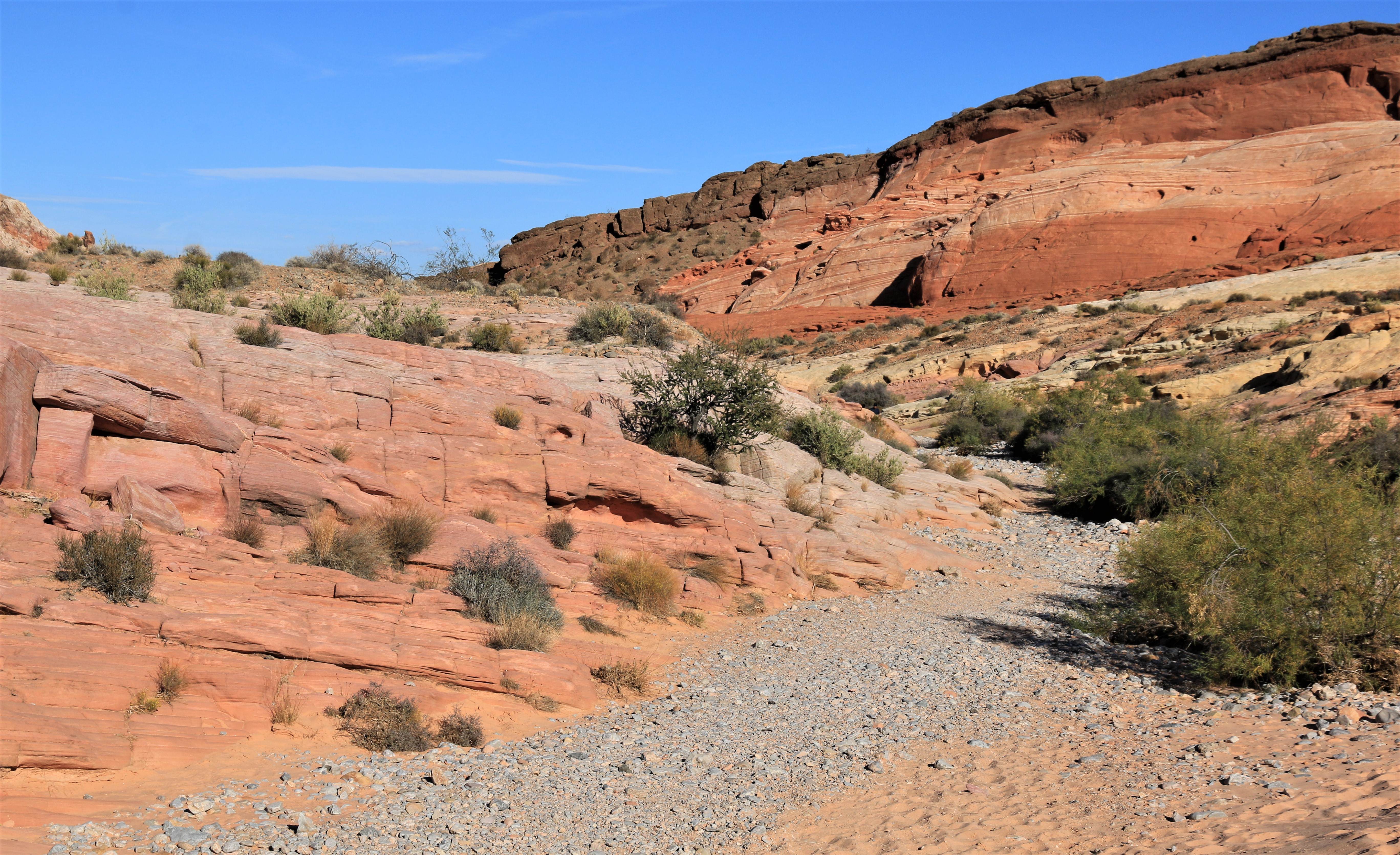 Nevada